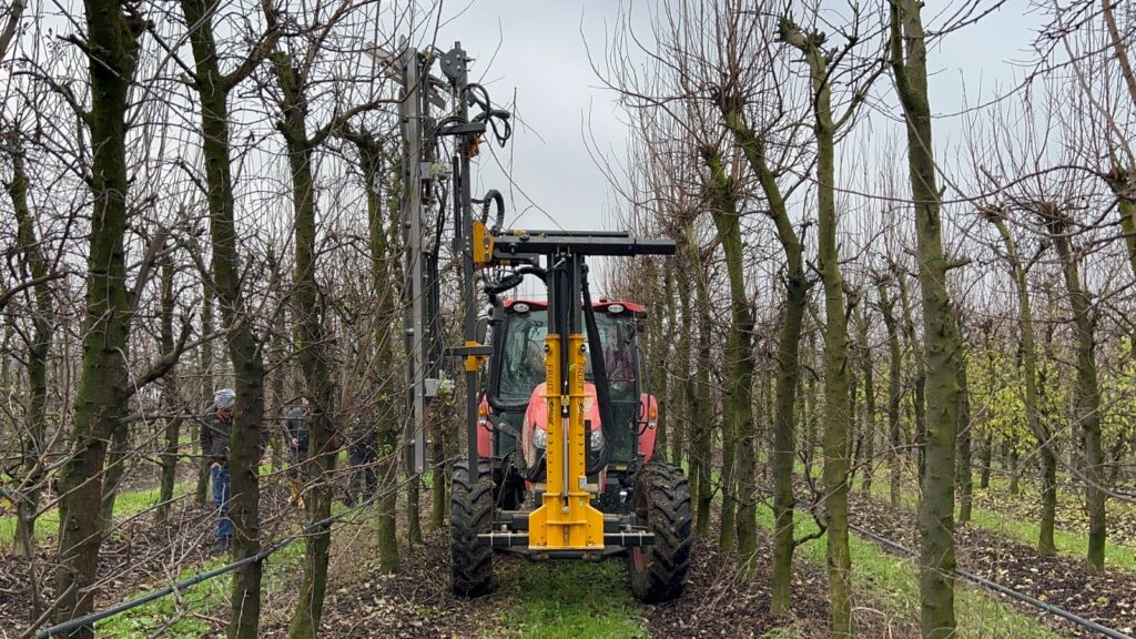 Mașină de tăiere livadă Orizzonti FRUIT-D montată în fața tractorului, la tăierea rândului de pomi