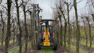 Mașină de tăiere livadă Orizzonti FRUIT-D montată în fața tractorului, la tăierea rândului de pomi