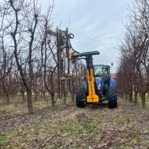 Mașină de tăiere livadă Orizzonti FRUIT-D la tăierea de iarnă într-o livadă de pomi fructiferi