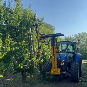 Mașină de tăiere livadă Orizzonti FRUIT-D la tăierea în verde, în perioada de vegetație
